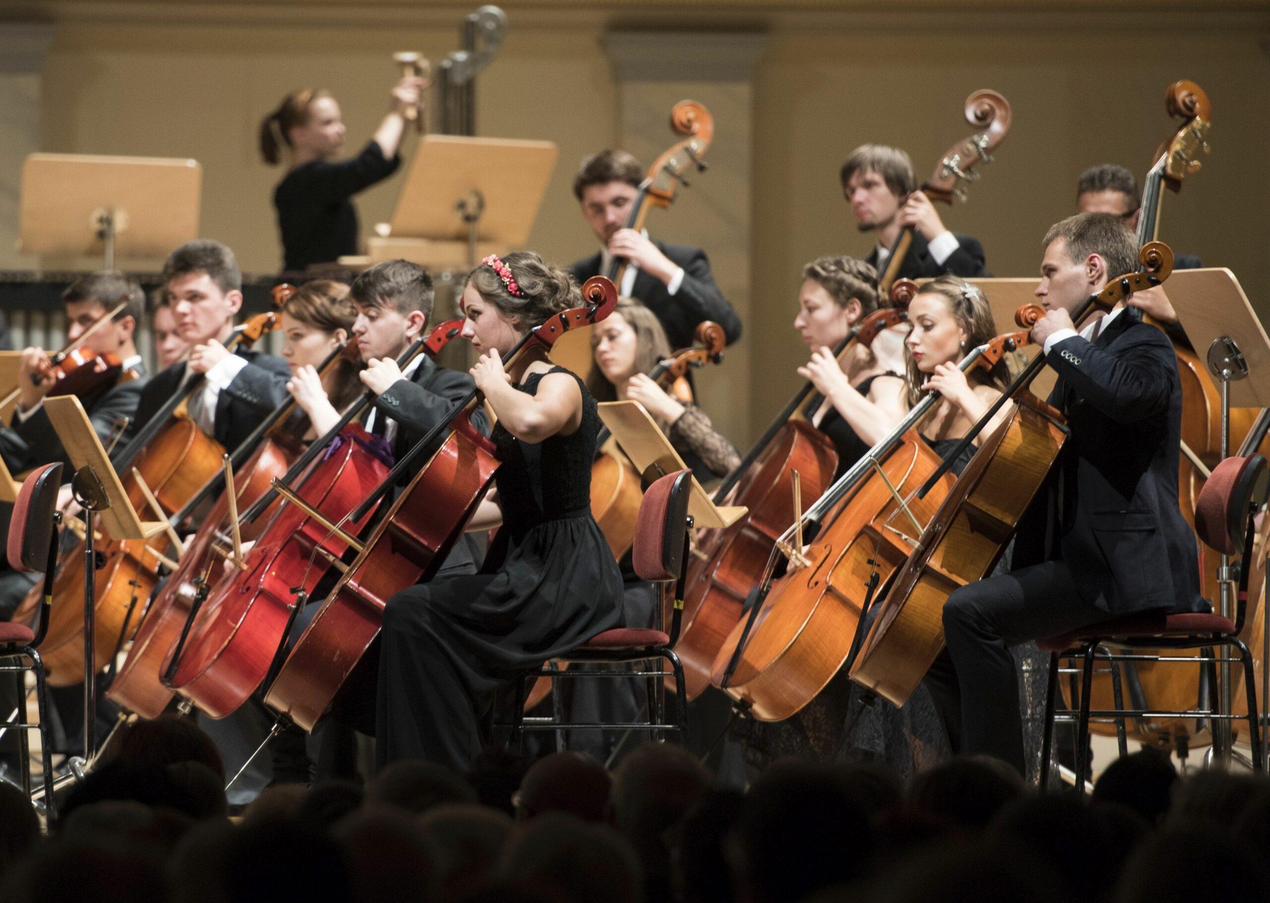 Musik und Politik Das Ukrainische Jugendorchester in Berlin terzwerk
